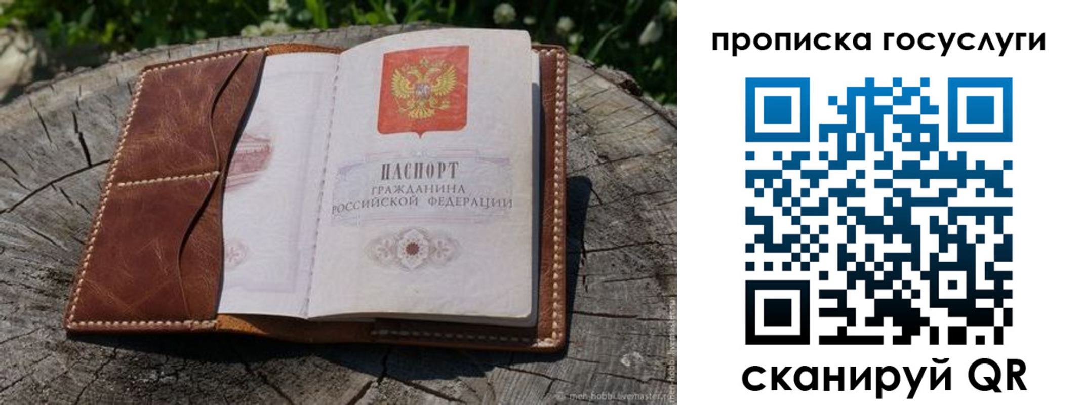 прописка для школы в Михайлове